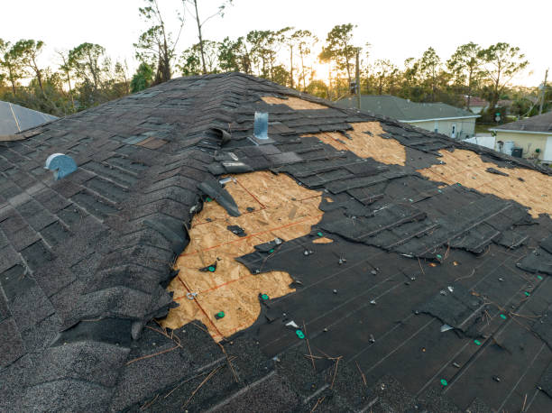 Best Sheet Metal Roofing  in Lake Ridge, VA